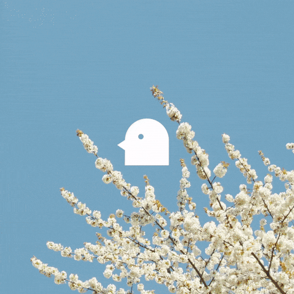 💌 Nest News — August, 2024: Biggest Birdie Ever Seen + Other fun stuff