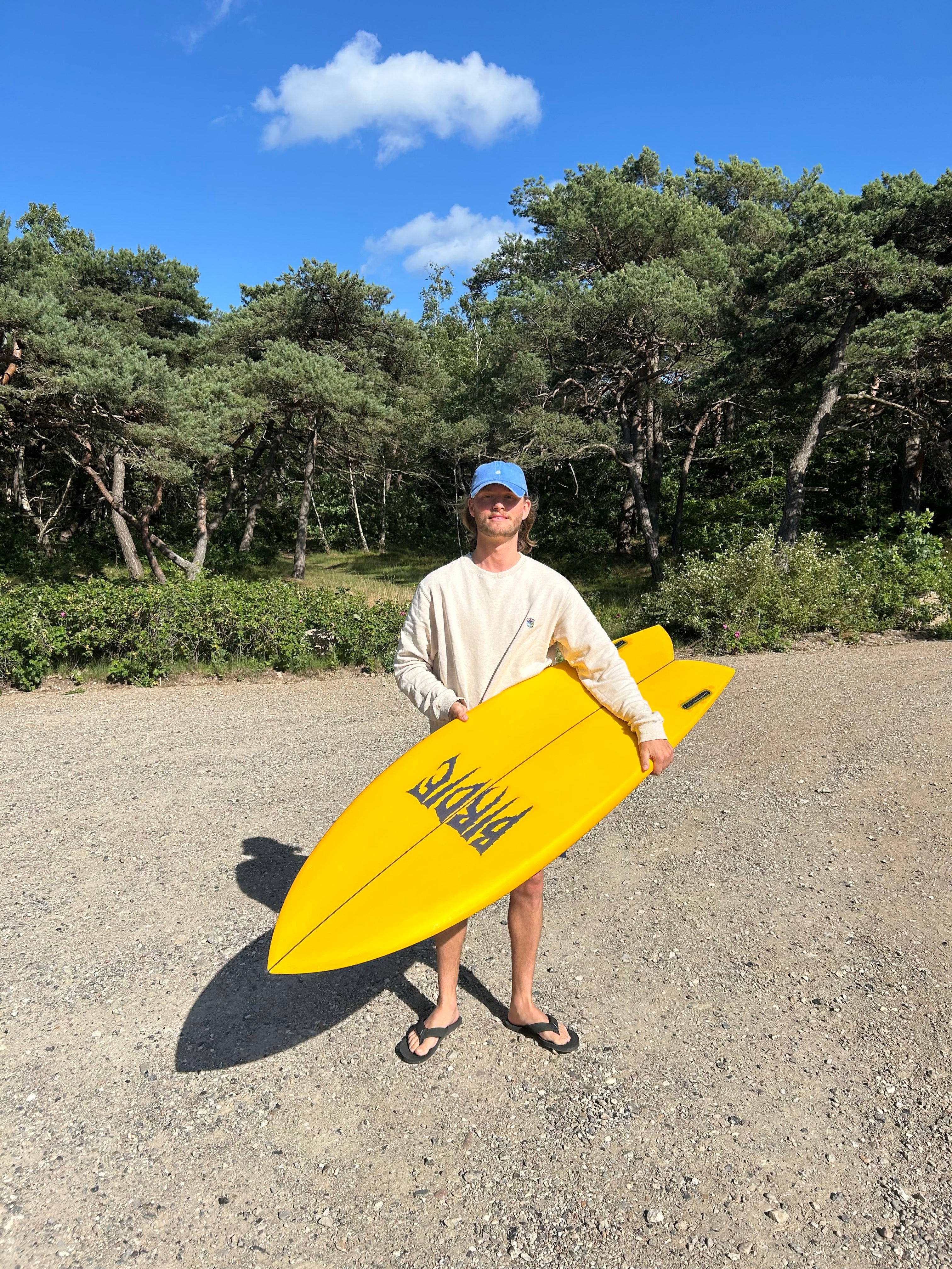 Get Out! Fish Surfboard