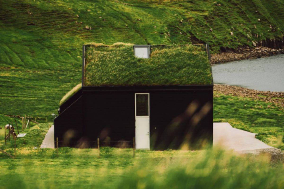 Good Indoor Climate: Simple Habits for Healthier Air | Birdie