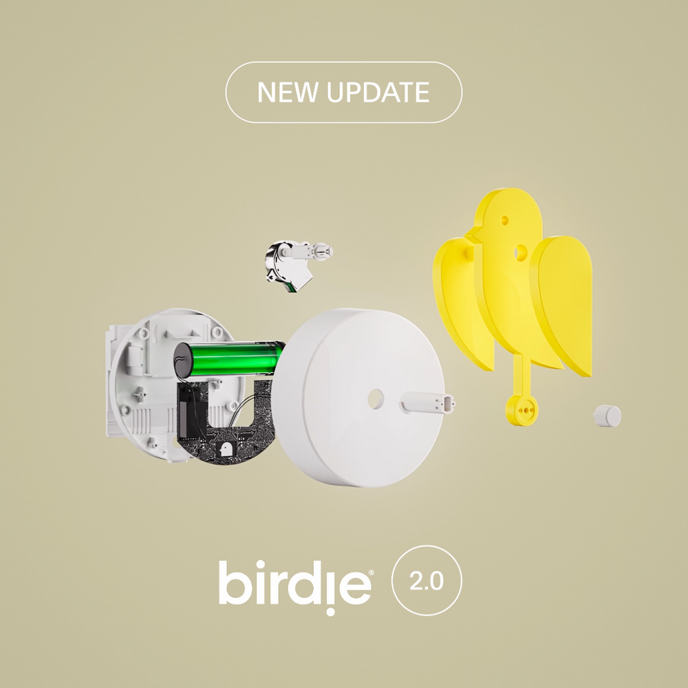 Birdie Ramps Birdie® 2.0